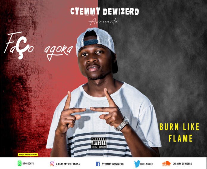 Cyemmy Dewizerd - Burn like flame (Prod. Demola Beatz Records)