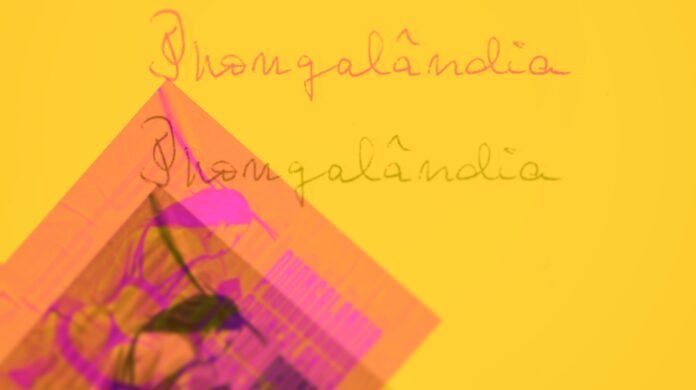 Phongalândia - Bunda Amarela