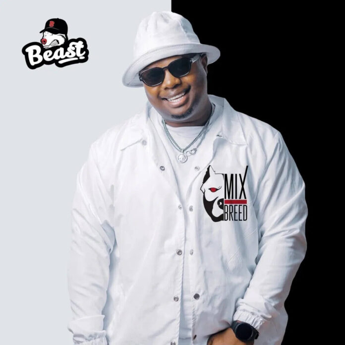 Beast – Yini (feat. Dladla Mshunqisi, DJ Tira & Drumetic Boyz)