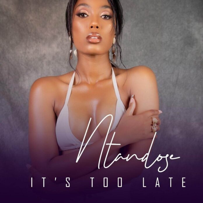 Ntandose - It's Too Late (feat. Liza Miro)