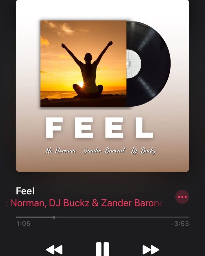 MC Norman - FEEL (feat. DJ Buckz & Zander Baronet)