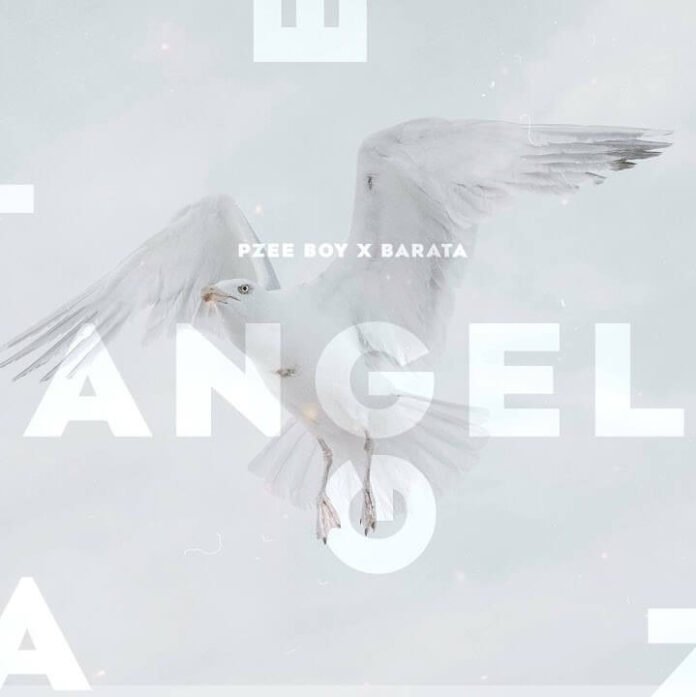 Pzee Boy x Barata - Angel (Original Mix)