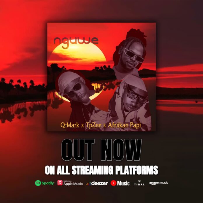 Q-Mark, TpZee & Afriikan Papi – Nguwe