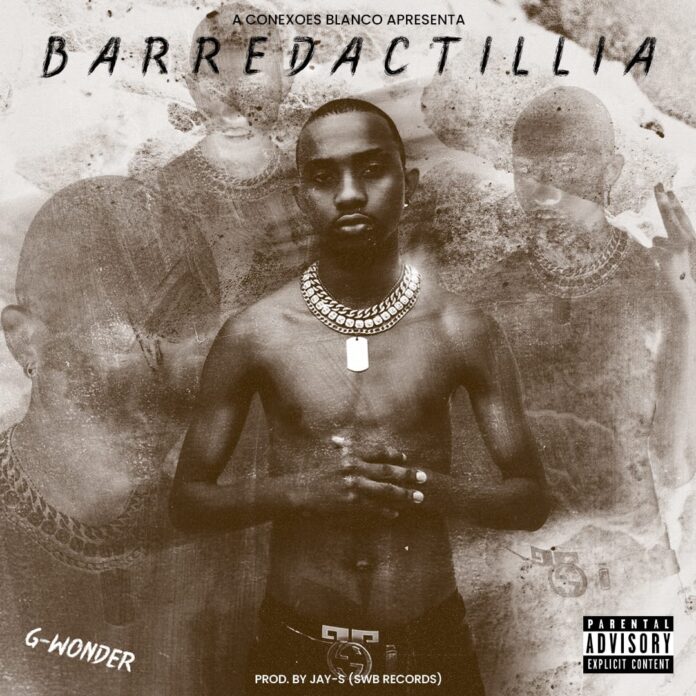 G - Wonder - Barredactillia