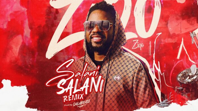 Ziqo - Salani Salani (Remix)