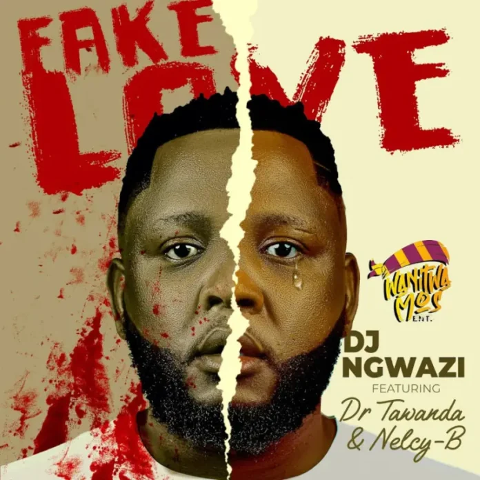 DJ Ngwazi – Fake Love (feat. Dr Tawanda & Nelcy-B)