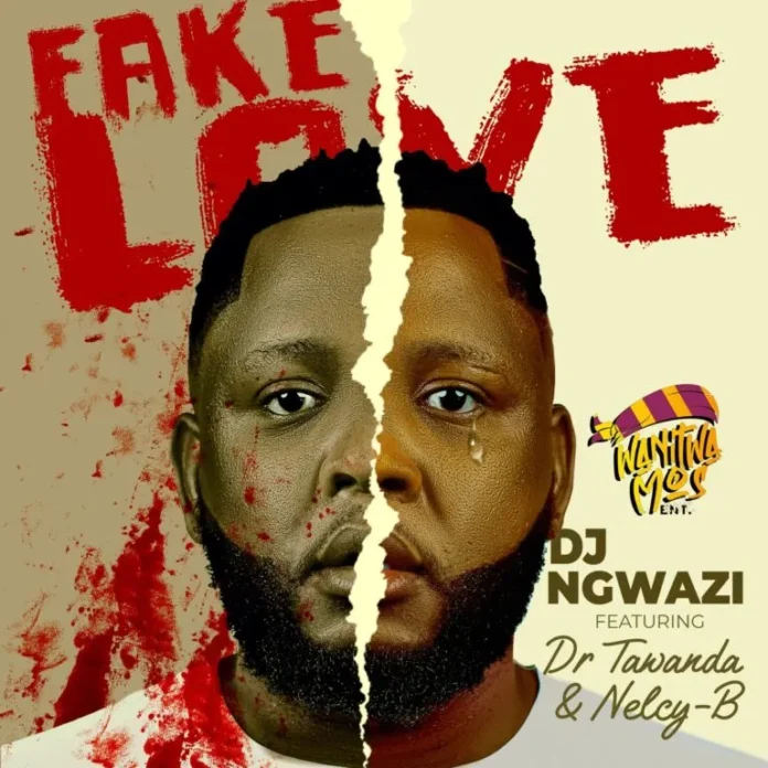 DJ Ngwazi – Fake Love (feat. Dr Tawanda Nelcy B)