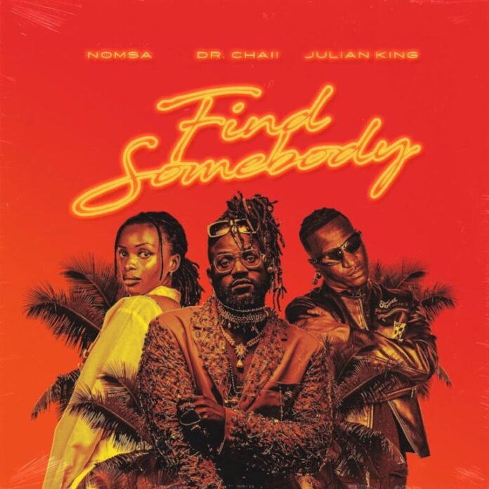 Dr. Chaii – Find Somebody (feat. Nomsa & Julian King)