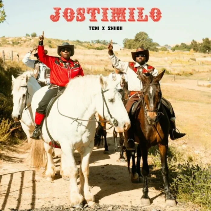 Teni feat. Skiibii – Jostimilo
