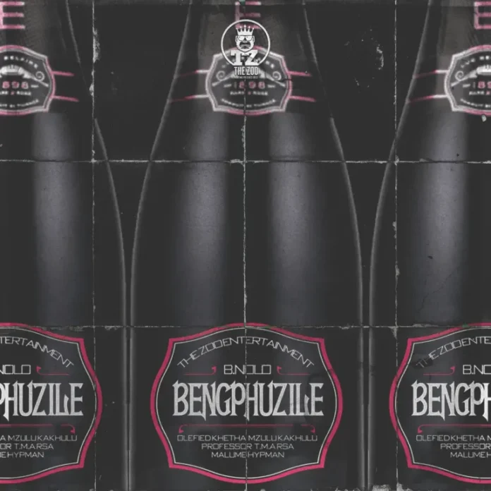 B.Nolo, Olefied Khetha & Mzulu Kakhulu – Beng’phuzile (feat. Professor, T.M.A RSA & malume.hypeman)