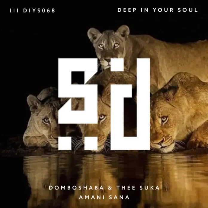 Domboshaba & Thee Suka – Amani Sana (Original Mix)