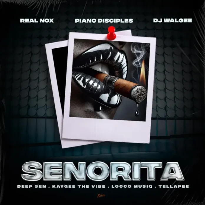 Real Nox, Kaygee The Vibe & Deep Sen – Senorita (feat. Tellapee, DJ Walgee, Piano Disciples & Locco Musiq)