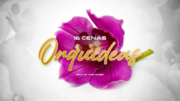 16 Cenas – Orquideas