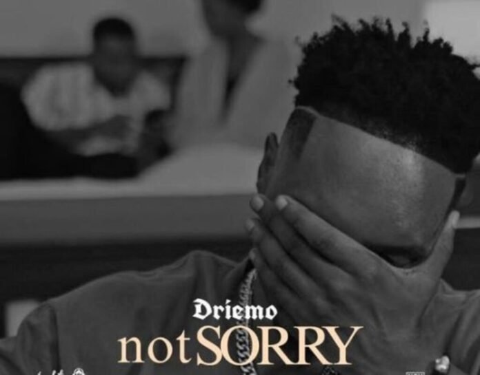 Driemo – Not Sorry