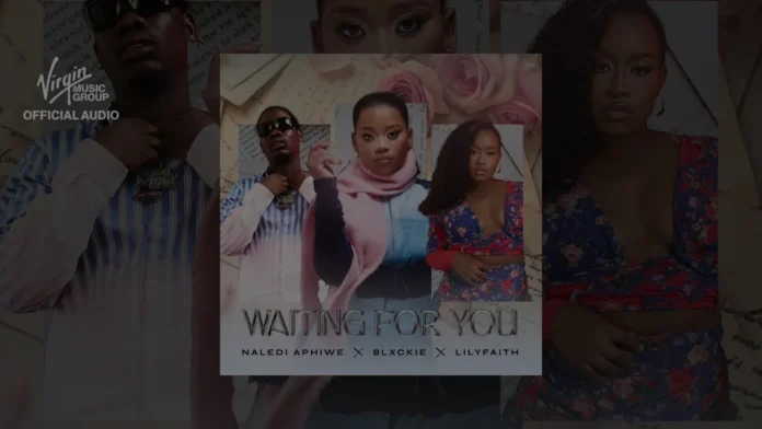 Naledi Aphiwe, Blxckie & LilyFaith – Waiting for You