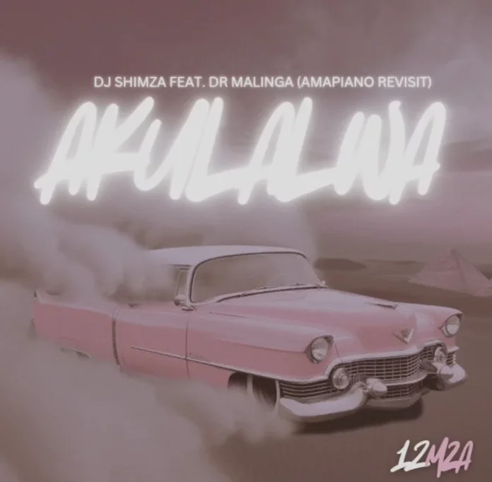 Shimza – Akulalwa feat. Dr Malinga