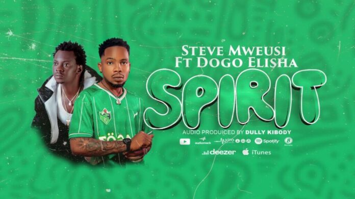 Steve Mweusi feat. Dogo Elisha – SPIRIT