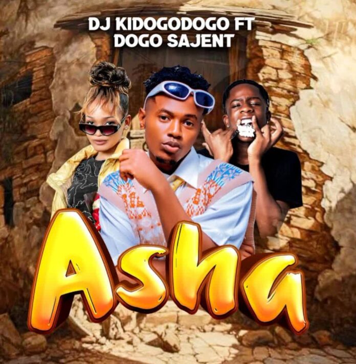 Dj Kidogodogo feat. Dogo Sajent – Asha