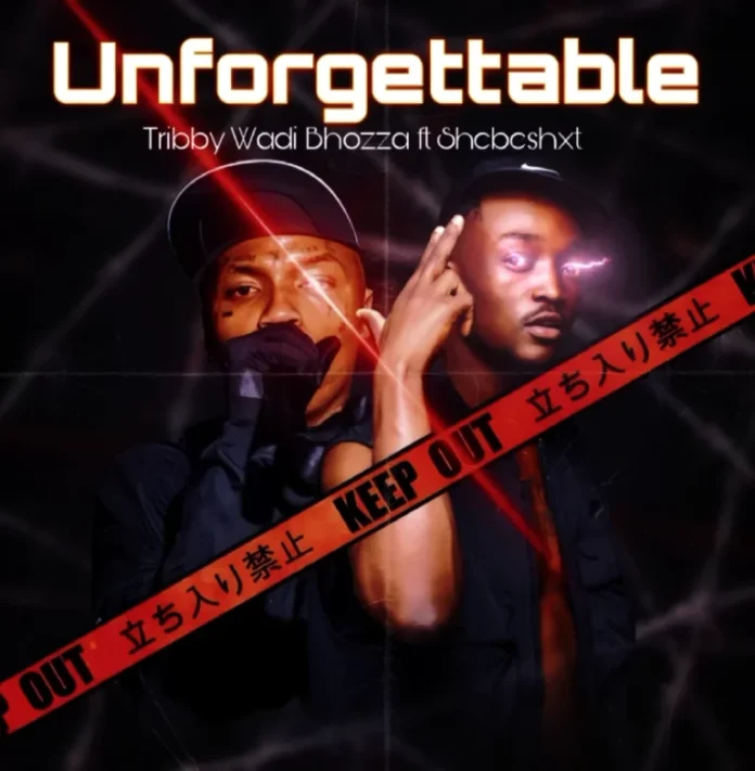 Tribby Wadi Bhozza – Unforgettable ft Shebeshxt