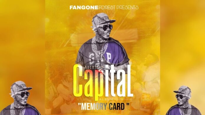 Alien skin – Memory Card