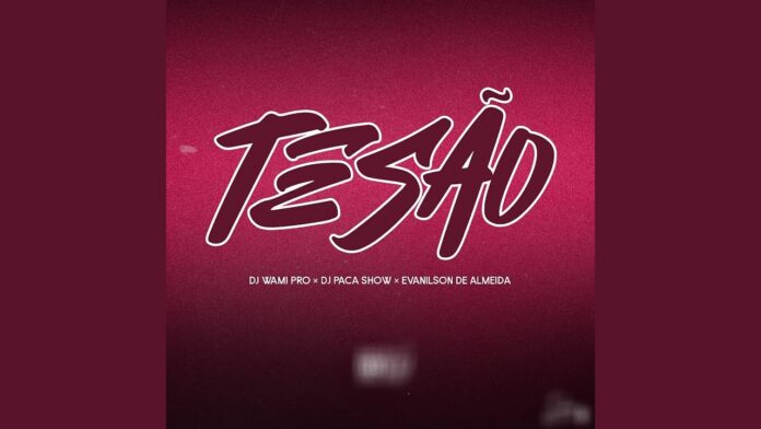 Dj Wami Pro ft. Evanilson de Almeida x Dj Paca Show – Tesão (Remix)