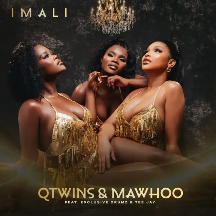 Q Twins & Mawhoo – Imali (feat. Exclusive Drumz & Tee Jay)
