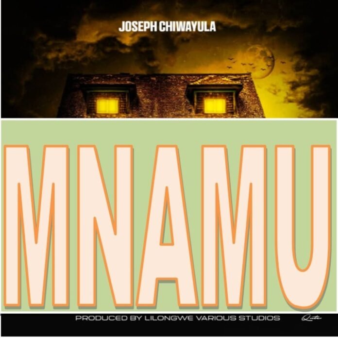 Joseph Chiwayula - Mnamu