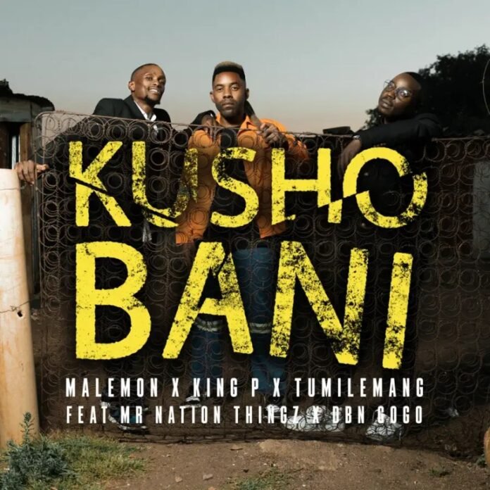 Malemon, Tumilemang & King P – Kusho Bani (feat. DBN Gogo & Mr Nation Thingz)
