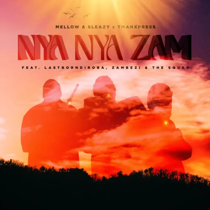 Mellow & Sleazy & Tman Xpress – Nya Nya Zam (feat. Lastborn Diroba, Zambezi & The Squad)