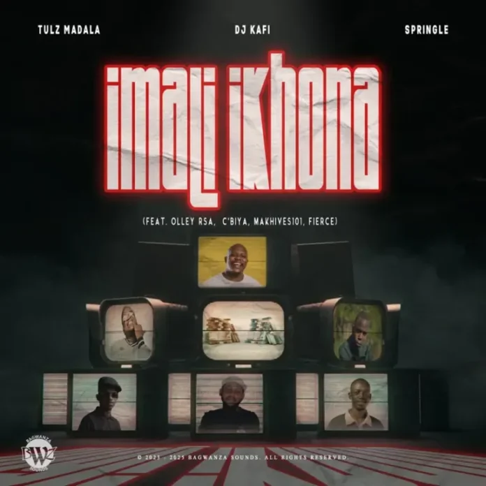 Tulz Madala, DJ Kafi & Springle – Imali Ikhona (feat. Olley RSA, C’biya, Makhives101 & Fierce)