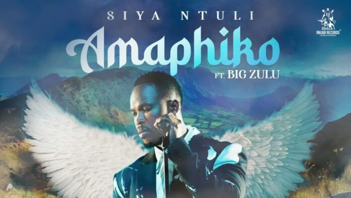 Siya Ntuli Ft Big Zulu – Amaphiko