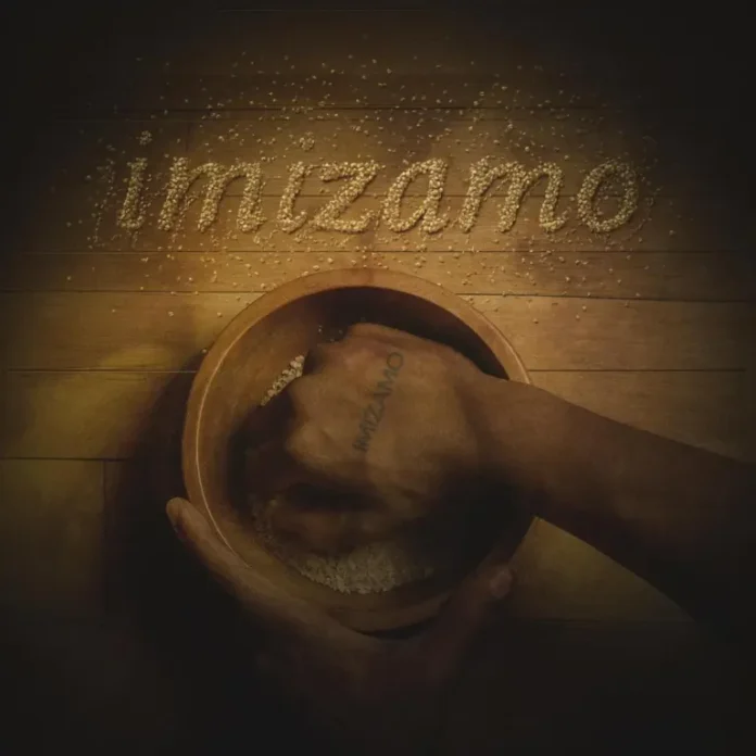 Warren Justin, Tonic Blue & Kelvin Momo – Imizamo (feat. Mr Maker, Shane907 & Noklunga Vilakazi)