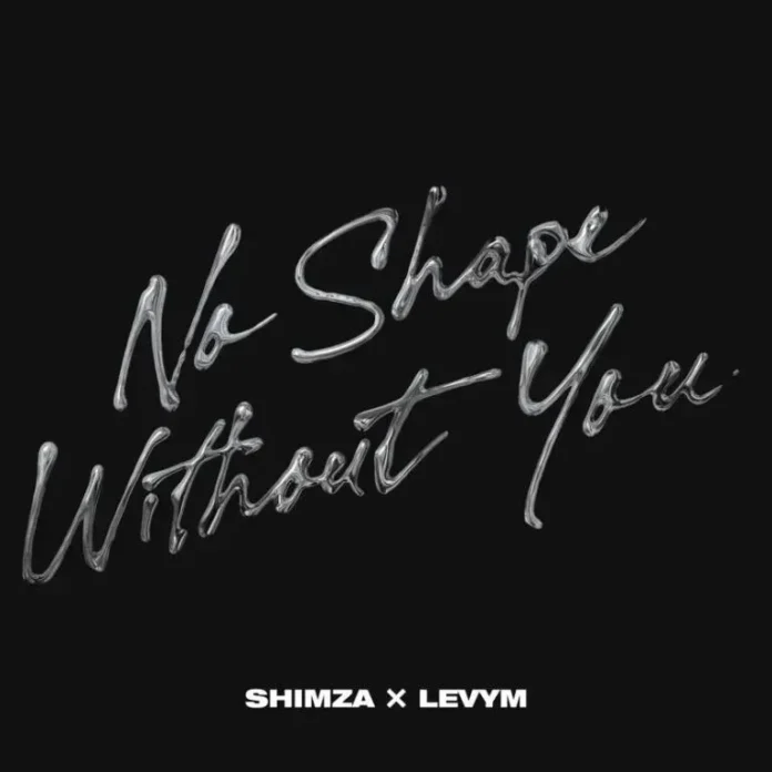 Shimza-LevyM-No-Shape-Without-You-768x768.jpg