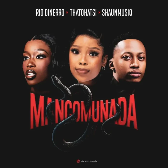 Rio Dinerro, Thatohatsi & ShaunMusiq – Mancomunada