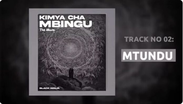 Black Ninjah – Mtundu (Punguani)