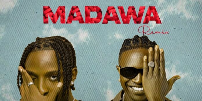 Sani Boy Ft Mr Seed – Madawa Remix