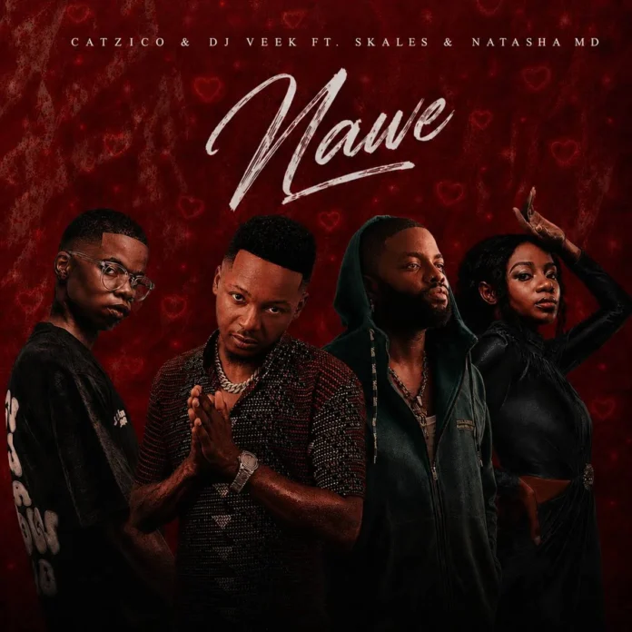 Catzico & DJ Veek – Nawe (feat. Skales & Natasha MD)