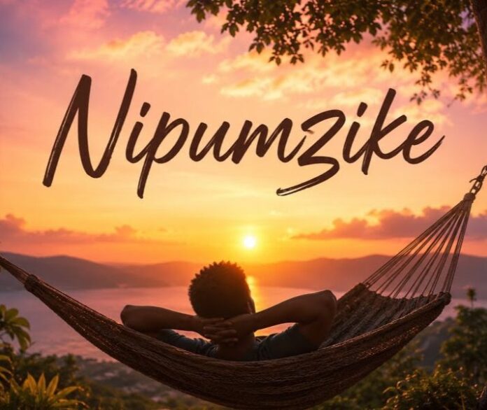 Don Breezy – Nipumzike