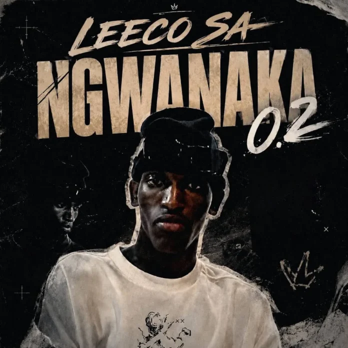 Leeco sa – Ngwanaka 0.2