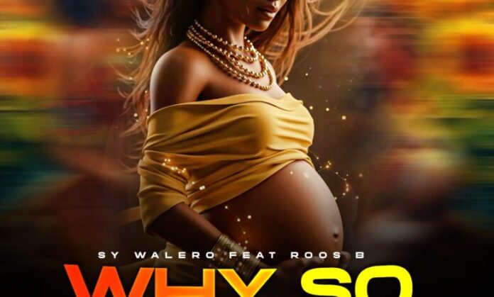 SY Walero – Why So Soon ft Roos B