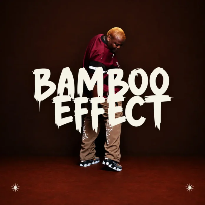 Biggie SA – Bambo Effect EP