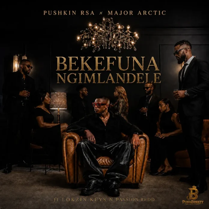 Pushkin RSA & Major Artic – BEKEFUNA NGIMLANDELE (feat. Lokzin Keys & Passion redd)
