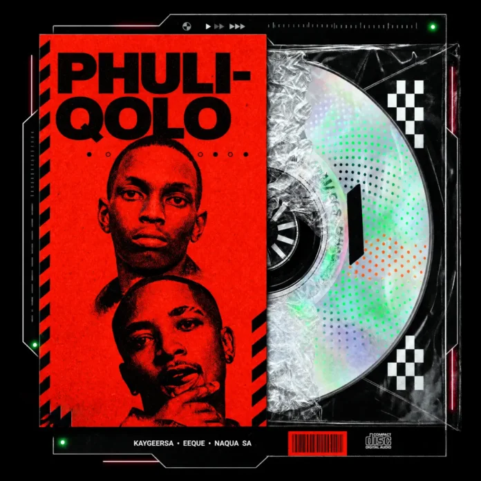KaygeeRsa, EeQue & Naqua SA – Phuliqolo
