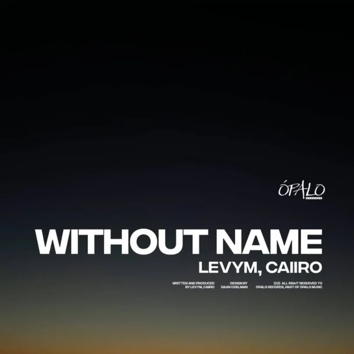 LevyM & Caiiro – Without Name