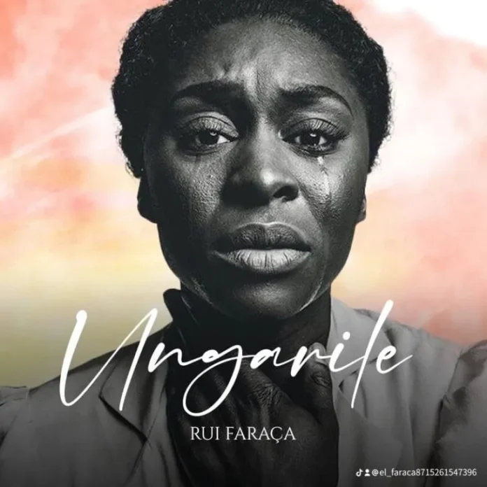 Rui Faraça – Ungarile