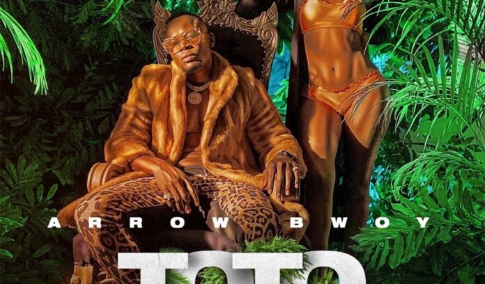 Arrow Bwoy – Toto