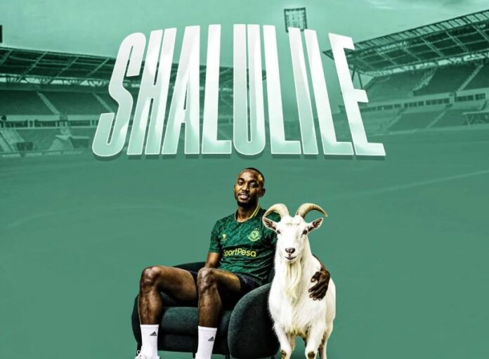 Matua – Shalulile
